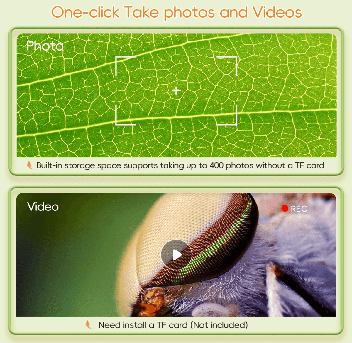 Digital microscope with a macro 1080P lens capturing insect, leaf and mineral detail for biology and geology, Yellow, Beige, White