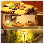 Handcrafted miniature food, kitchen and glowing garden details from a 1:24 Guqin Pavilion dollhouse kit, a build gift for adults