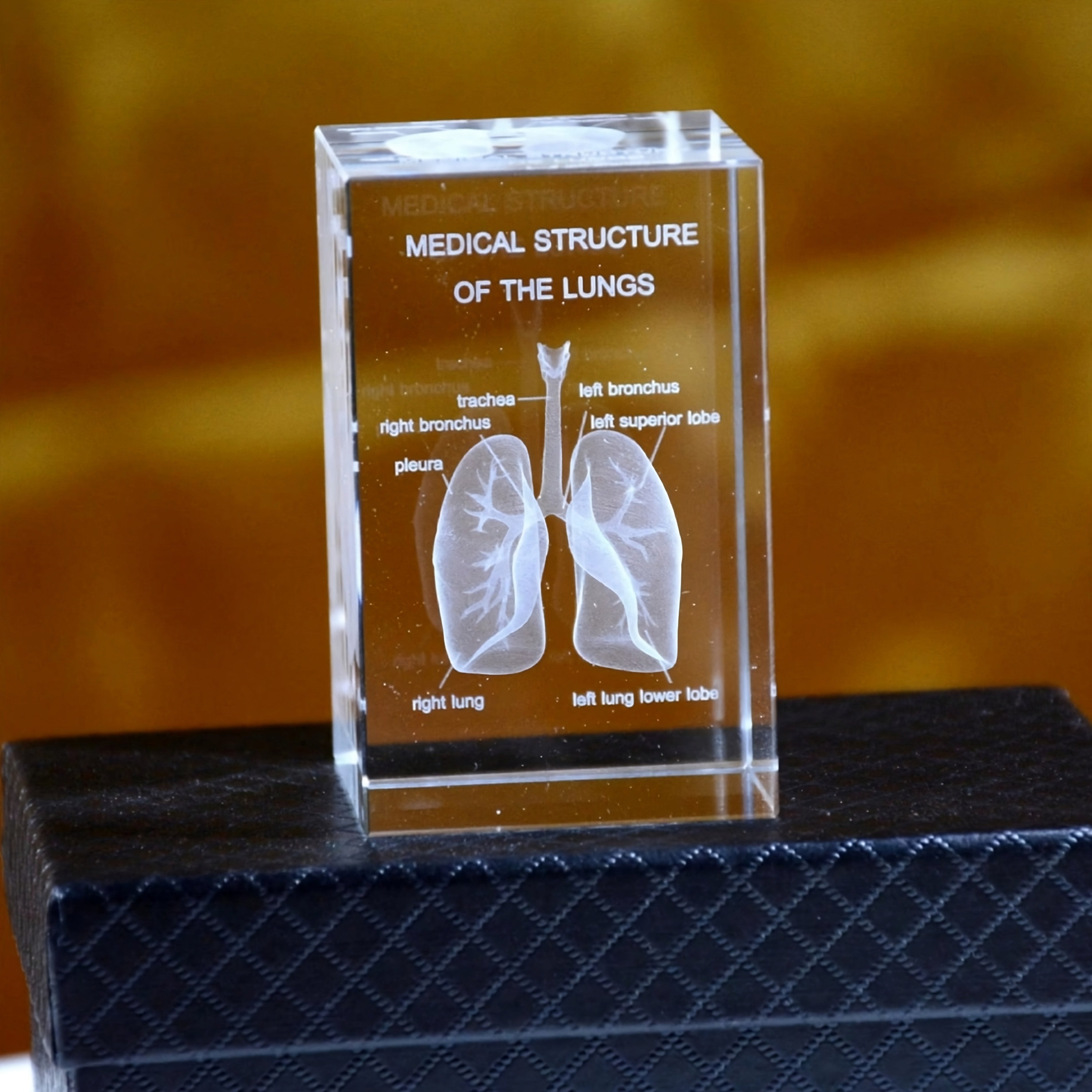 Laser etched crystal lung anatomy model with labeled bronchial structures, a respiratory science paperweight and study aid