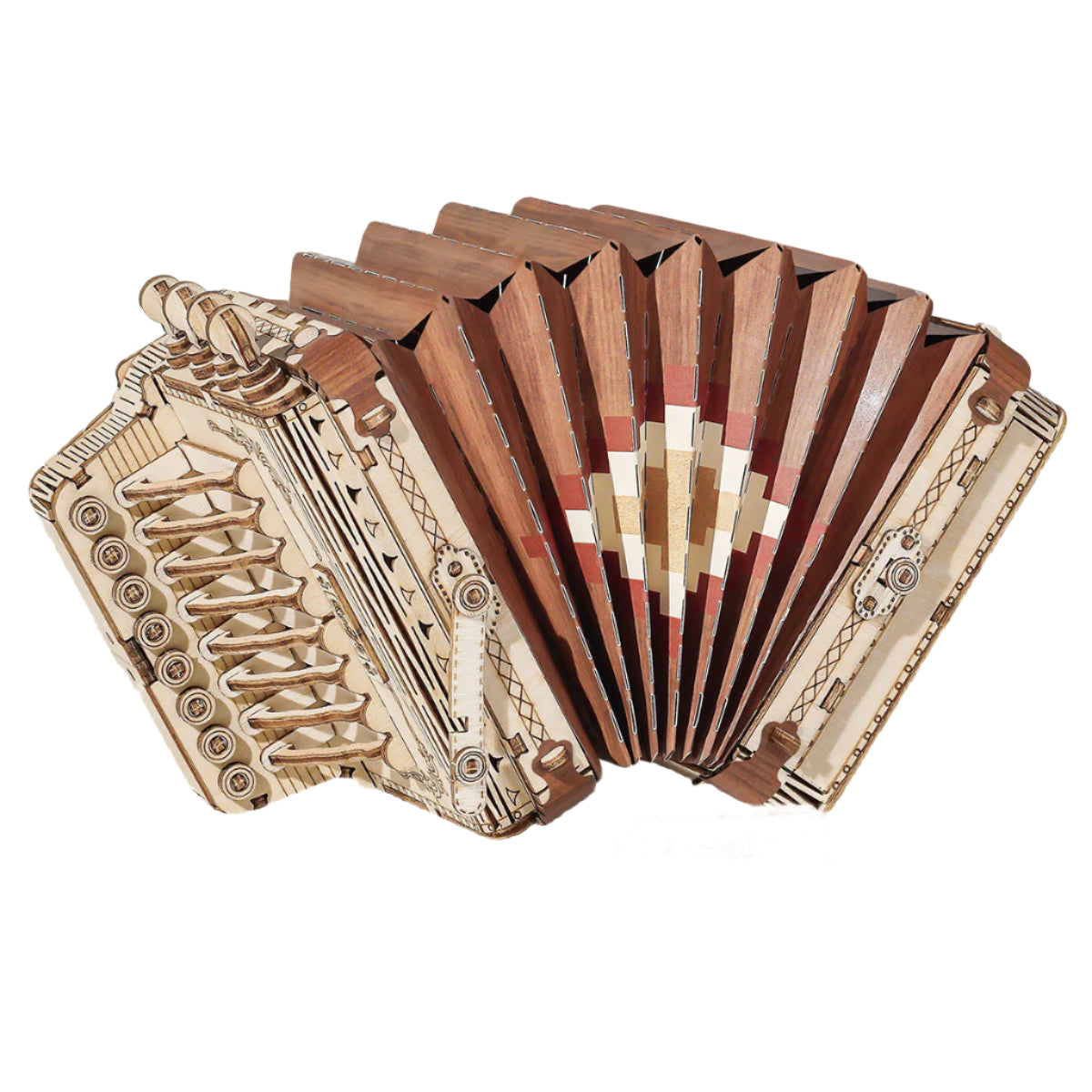 Accordion 3D wooden puzzle that builds a folk instrument display replica in natural wood, a model kit for musicians