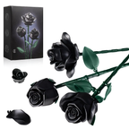 Black roses with green stems and leaves, including a box, on a white background